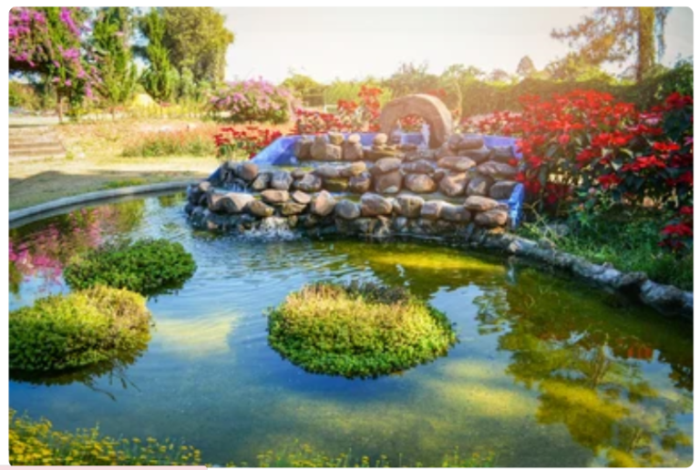 River Rock Landscaping Ideas Elevate Your Space with Natural Beauty