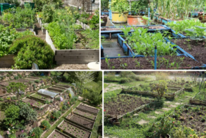 Homestead Garden